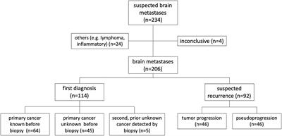 The value of stereotactic biopsy of primary and recurrent brain metastases in the era of precision medicine